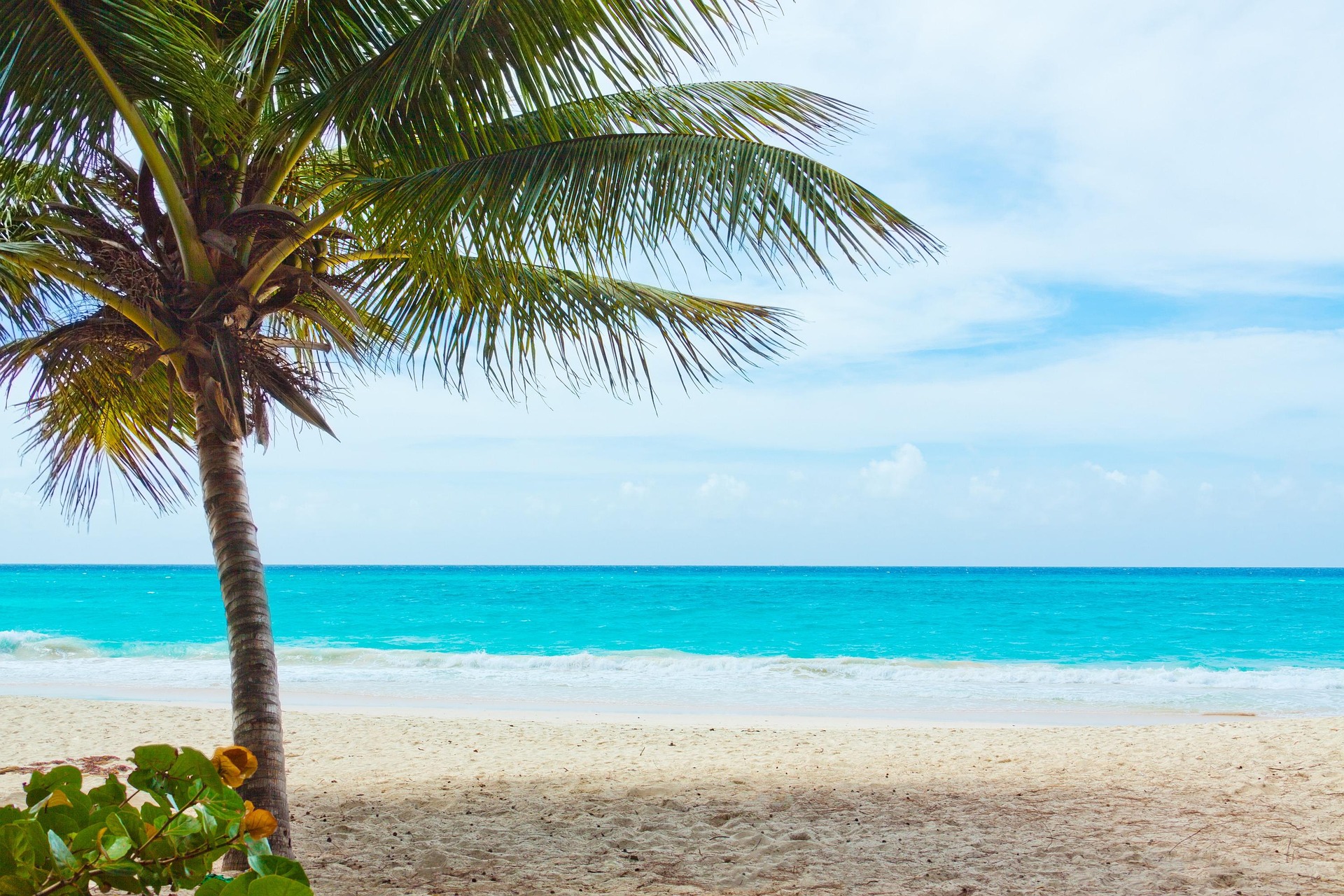 Luxury cruise destination 2
